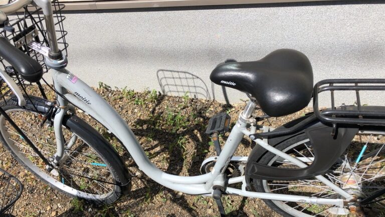 徒歩と自転車どっちが運動になるか