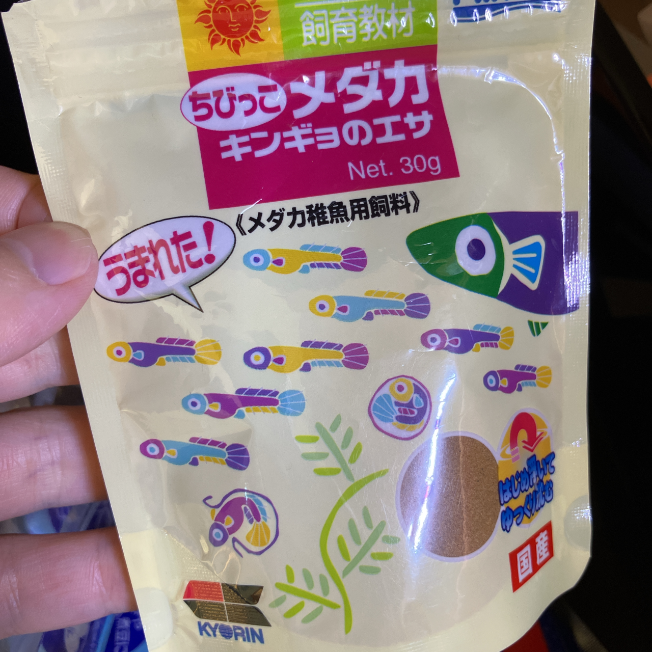 メダカの針子(稚魚)の育成 冬場の成長記録 | コレカラベクトル