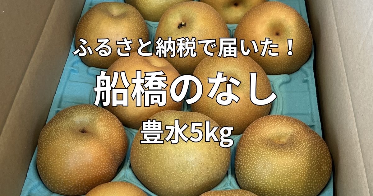 ふるさと納税で届いた船橋のなし・い志い農園の豊水5kg